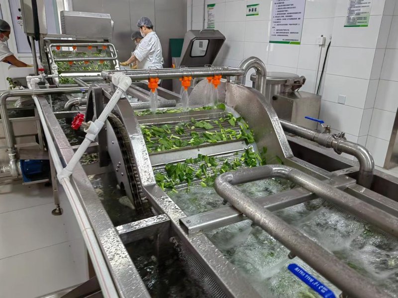 蔬菜零售行业：从田间到餐桌的变化与挑战