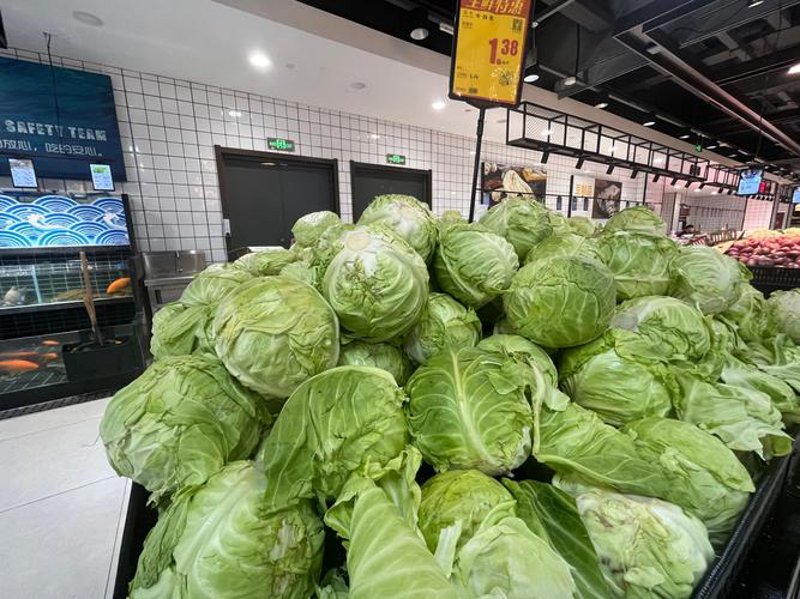 海口蔬菜批发市场：新鲜美味的秘密武器
