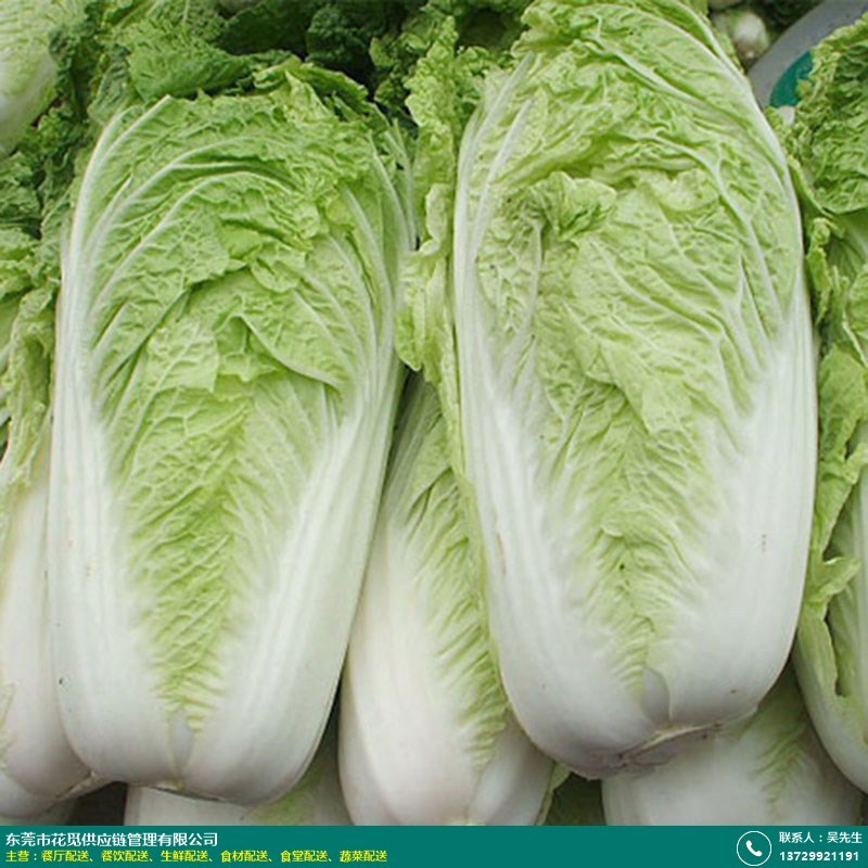海口秀英区蔬菜店：绿色生活的新篇章