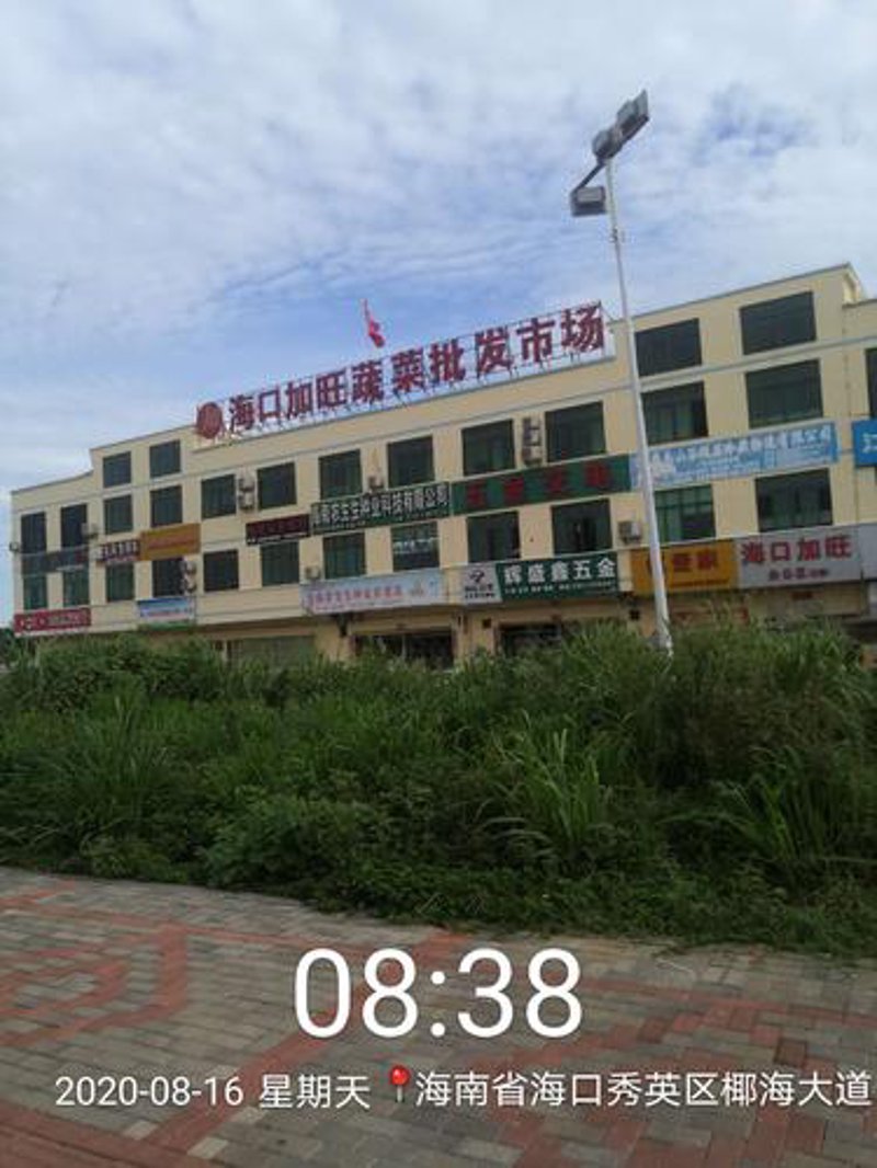 海口蔬菜配送选购指南：轻松享受健康美味