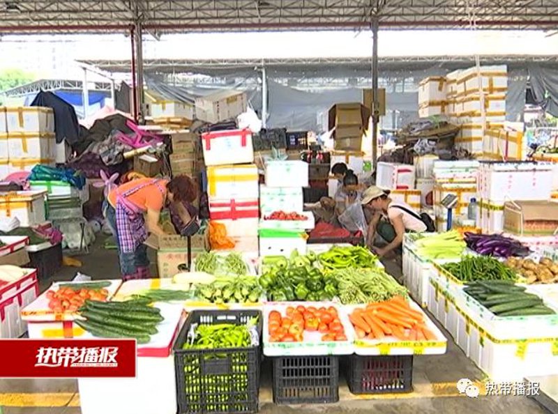 海口蔬菜批发市场：新鲜与便利交织的城市绿脉